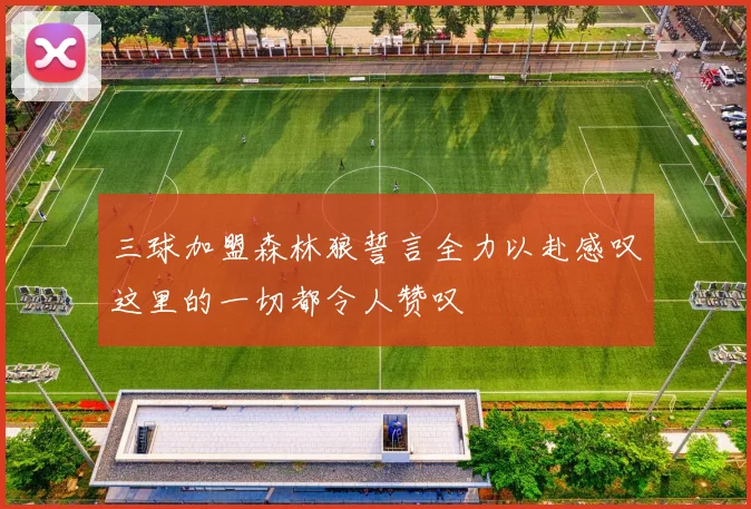 三球加盟森林狼誓言全力以赴感叹这里的一切都令人赞叹