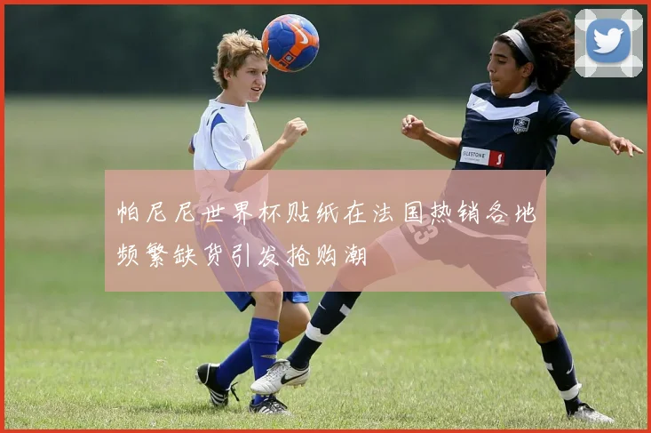 帕尼尼世界杯贴纸在法国热销各地频繁缺货引发抢购潮